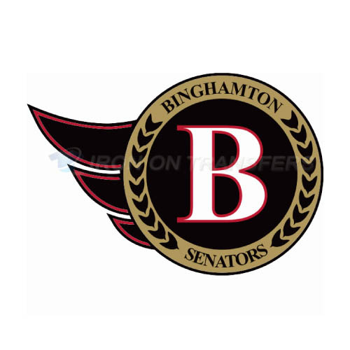 Binghamton Senators Iron-on Stickers (Heat Transfers)NO.8980